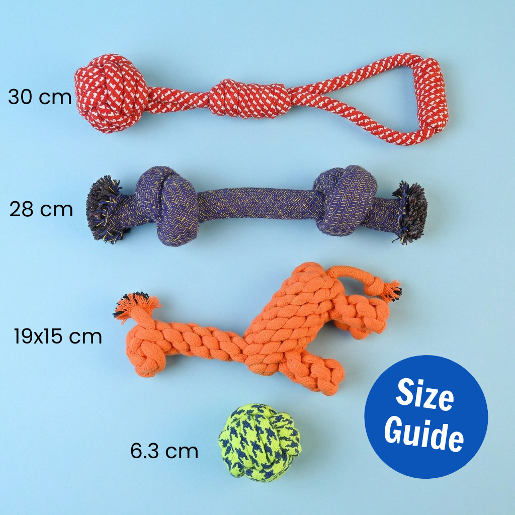 Energy Burn Kit