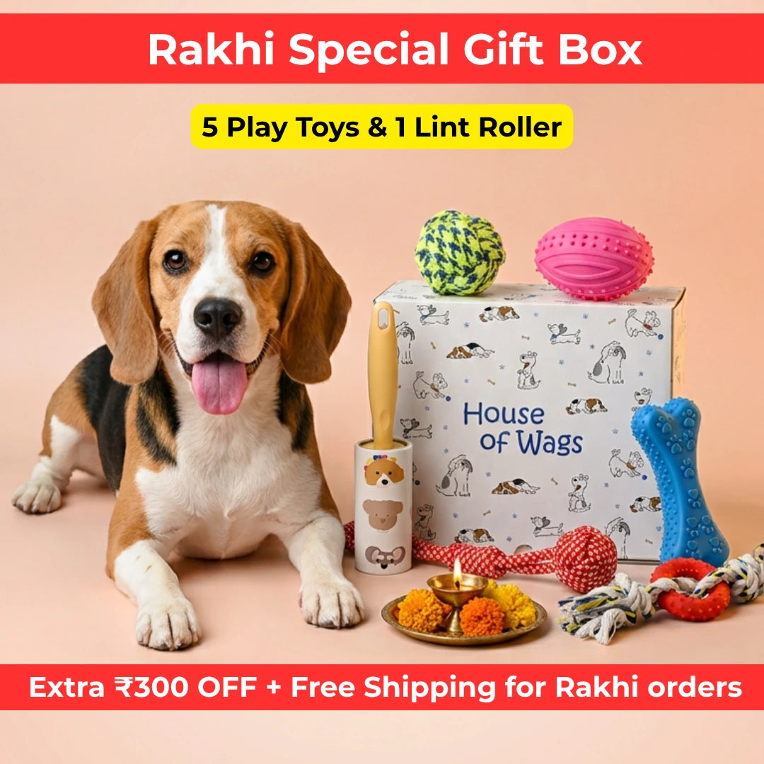 Happy Wags Hamper