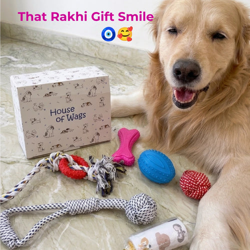 Happy Wags Hamper